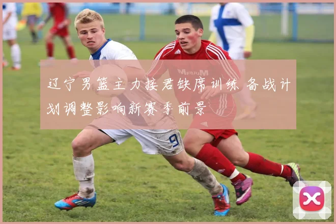 辽宁男篮主力接君缺席训练 备战计划调整影响新赛季前景