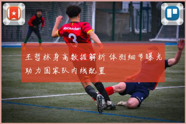 王哲林身高数据解析 体测细节曝光助力国家队内线配置